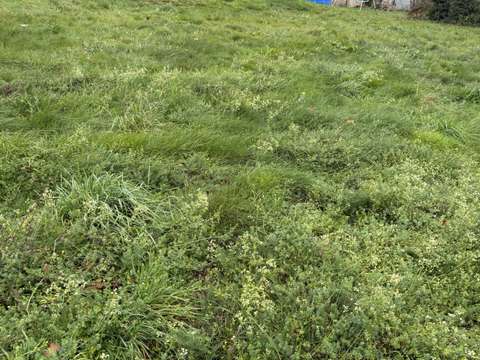 Vente de terrain