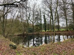 Vente Terrain 5300 m&sup2;Feins