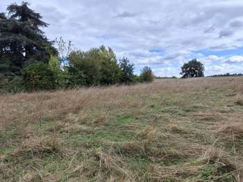 Vente Terrain 602 m&sup2;Feneu