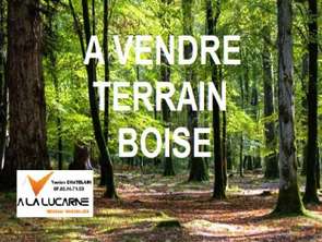 Vente Terrain 3450 m&sup2;Férel