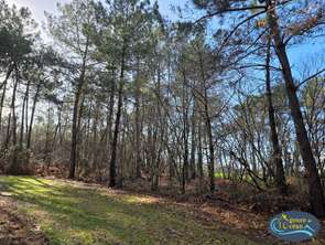 Vente Terrain 1660 m&sup2;Férel
