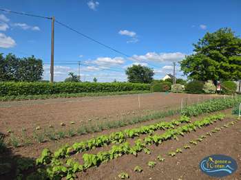 Vente de terrain