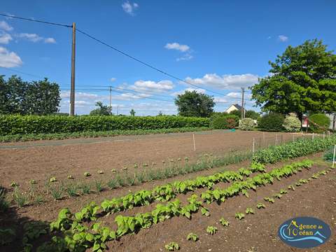 Vente de terrain