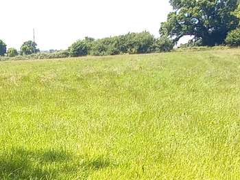 Photo Vente de terrain Flers