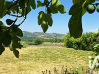 Vente de terrain Vente de terrain