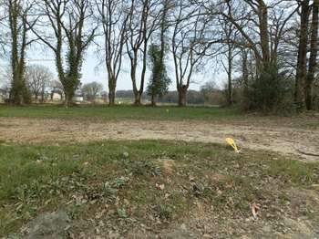 Vente de terrain Fontaine-Milon 49