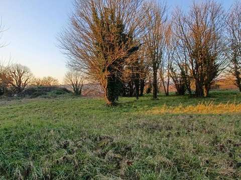 Vente de terrain Fontenay-le-Comte 85