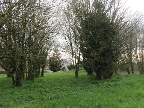 Vente de terrain