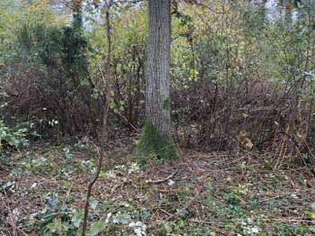 Vente Terrain 3878 m&sup2;Fontenay-sur-Loing