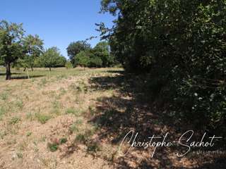 Vente de terrain