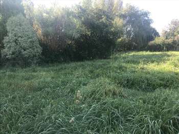 Vente Terrain 960 m&sup2;Fouesnant