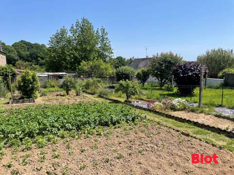 Vente de terrain