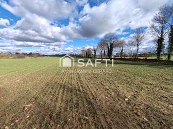 Vente Terrain 120000 m&sup2;Fougerolles-du-Plessis