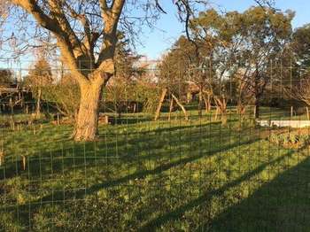 Vente Terrain 901 m&sup2;Foussais-Payré