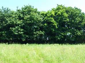 Vente Terrain 934 m&sup2;Fréhel