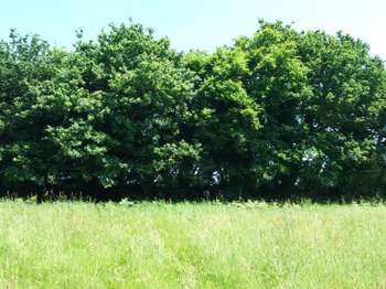 Vente Terrain 934 m&sup2;Fréhel