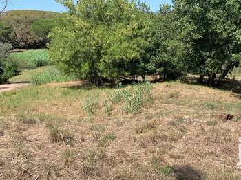 Vente de terrain
