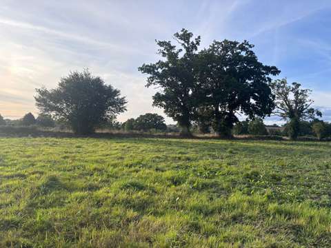 Vente de terrain Frênes 61