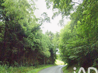 Vente de terrain