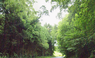 Photo Vente de terrain Froberville
