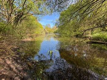 Vente de terrain Froidfond 85
