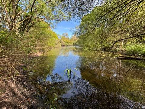 Vente de terrain Froidfond 85