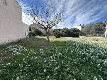 Vente Terrain 363 m&sup2;Frontignan
