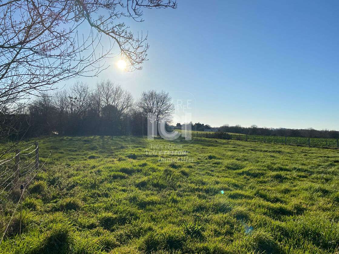 Vente Terrain Frossay 44320 Vendre 3069m Frossay vente-terrain-frossay-44320-vendre-3069m-frossay