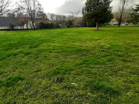 Vente de terrain
