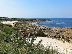 Vente Terrain 270 m&sup2;Gâvres