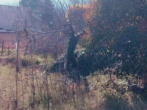 Vente Terrain 545 m&sup2;Générac