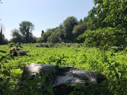 Vente de terrain Genêts 50