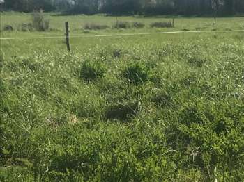 Vente de terrain