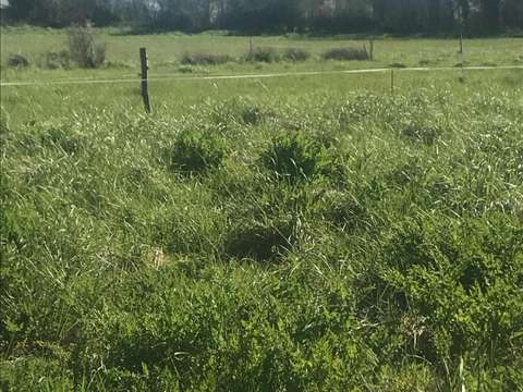 Vente de terrain
