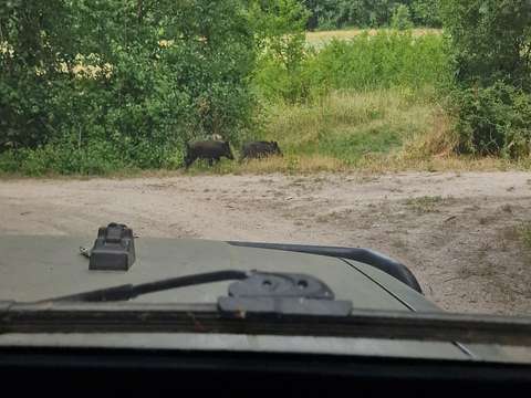 Vente de terrain Gennes-Val-de-Loire 49