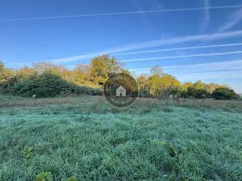 Vente de terrain Gennes-Val-de-Loire 49