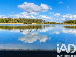 Vente Terrain 200000 m&sup2;Géraudot