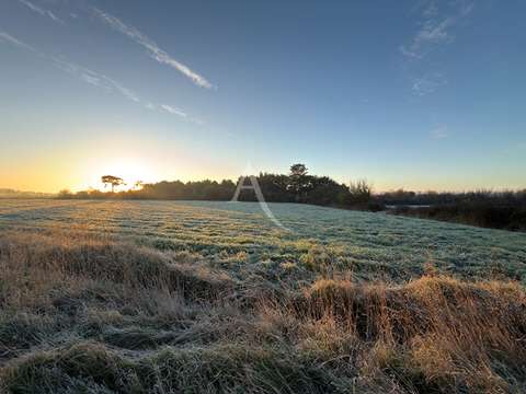 Vente de terrain Givrand 85