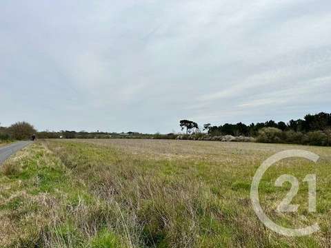 Vente de terrain Givrand 85