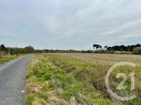 Vente de terrain
