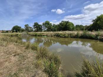 Vente Terrain 7230 m&sup2;Givrand