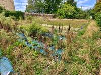Vente de terrain