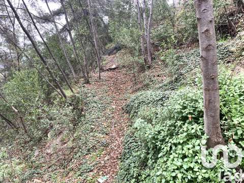 Vente de terrain Gorbio 06