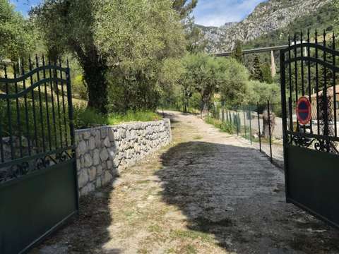 Vente de terrain Gorbio 06