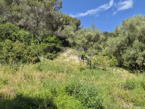 Vente de terrain Gorbio 06