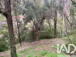 Vente Terrain 1000 m&sup2;Gorbio