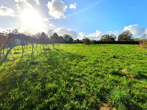 Vente de terrain