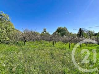 Vente de terrain
