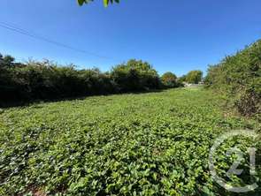 Vente Terrain 807 m&sup2;Gouville-sur-Mer
