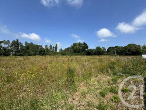 Vente de terrain